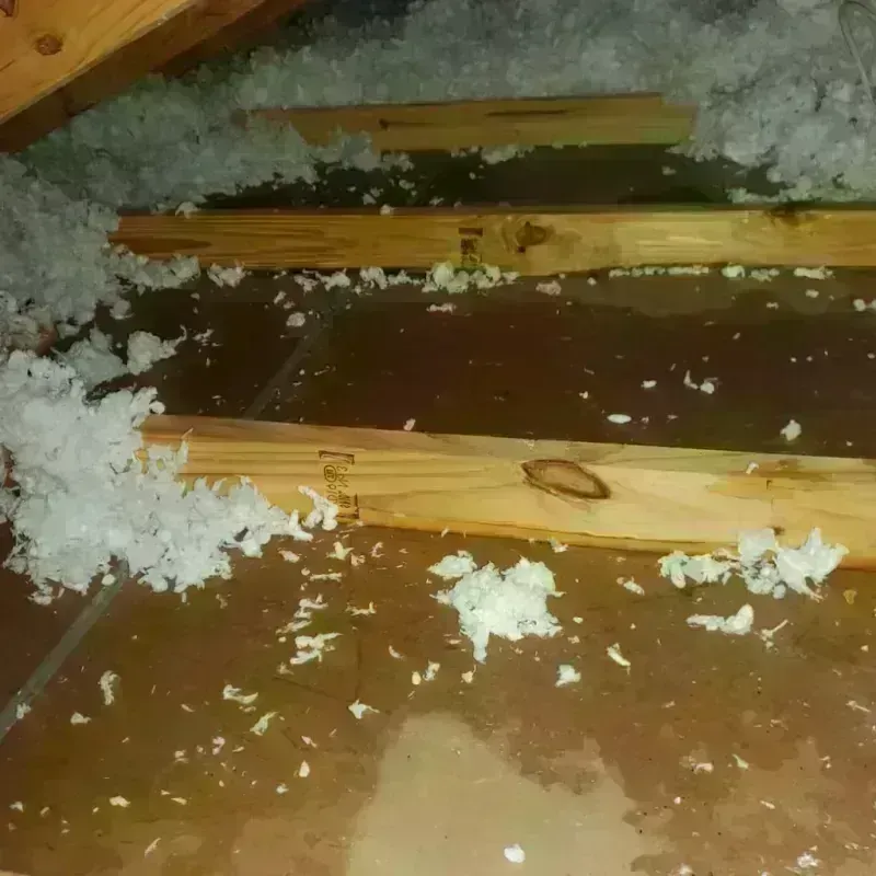 Attic Water Damage in Lake Worth Corridor, FL