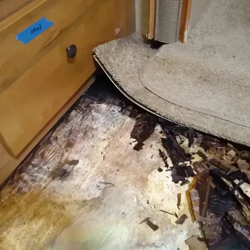 Wood Floor Water Damage in Lake Worth Corridor, FL